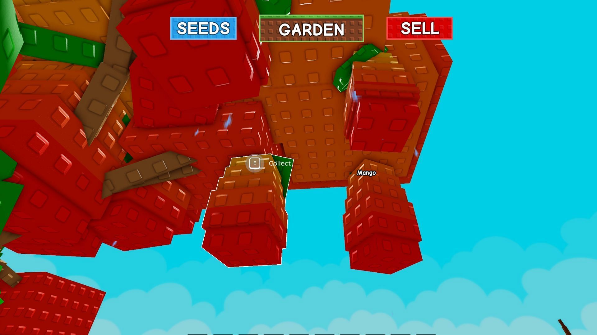 Each Mango Tree sprouts several fruits at once (Image via Roblox)